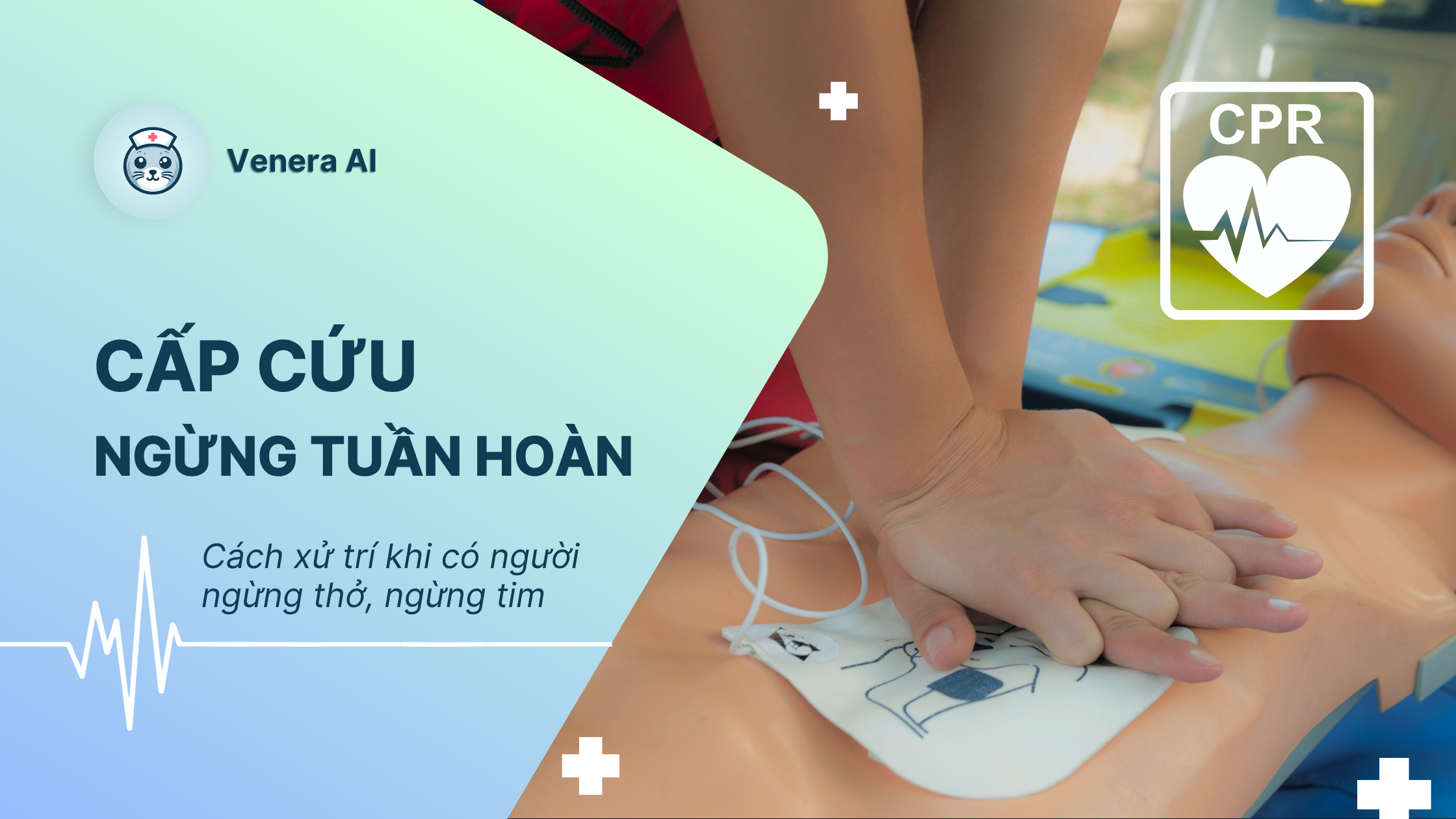 CPR - Cấp Cứu Ngừng Tuần Hoàn: Cách xử trí khi có người ngừng thở, ngừng tim